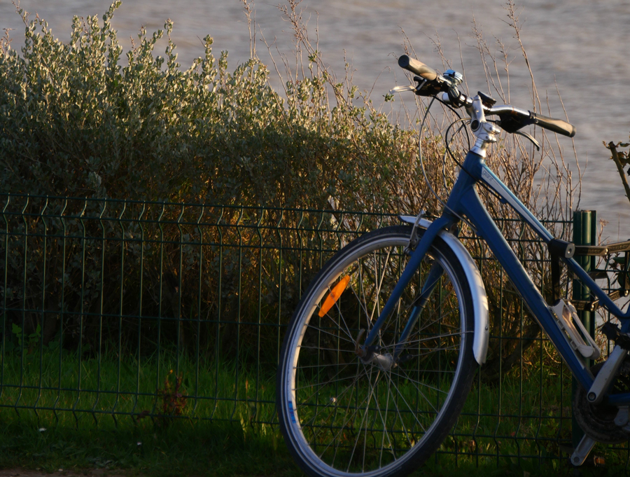Découvrir la charente maritime à vélos et séjourner en maison d'hôtes