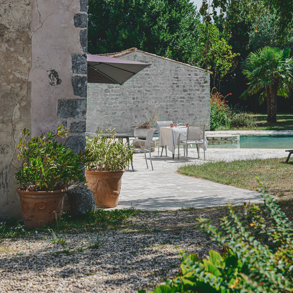 Grand jardin relaxant dans la maison d'hôtes au milieu de la campagne rochelaise avec piscine