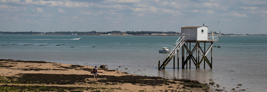 Visiter et pêcher depuis un carrelet à La Rochelle